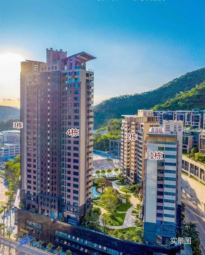东方凤雅名苑：深度解析深圳优质住宅项目