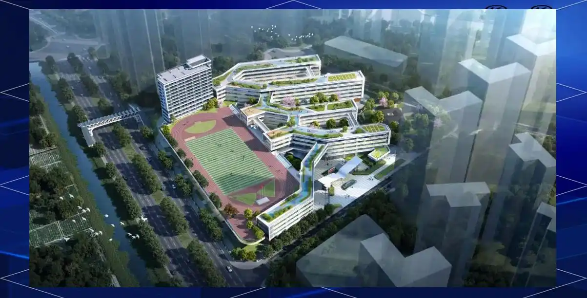 坪山实验学校