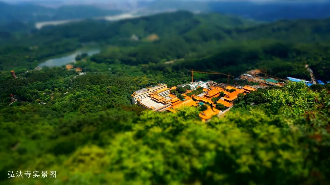 东方凤雅名苑_15