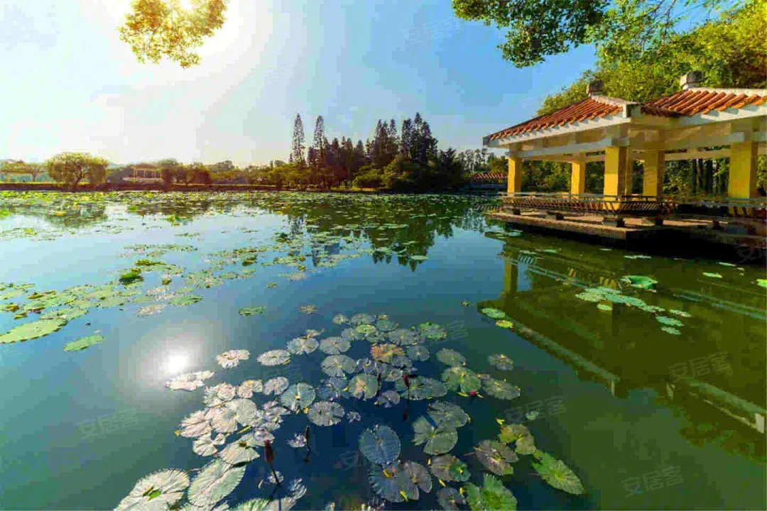 御龙天地_公园