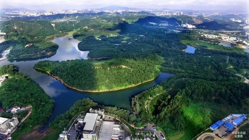 融湖盛景_生态环境-公园
