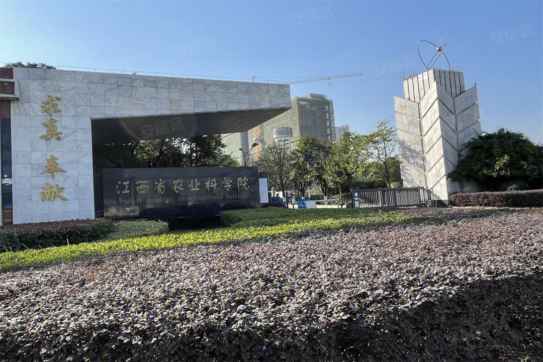 九颂山河山湖印售楼处电话4001167278开发商认证电话_08