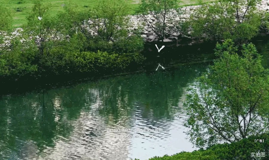 招商海晏府_14
