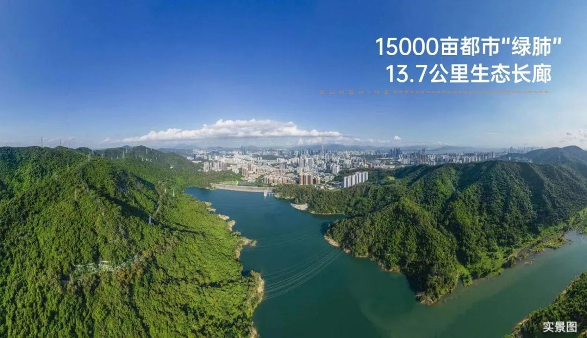 鼎胜金域阳光家园_11