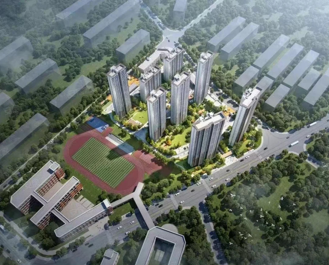 学校