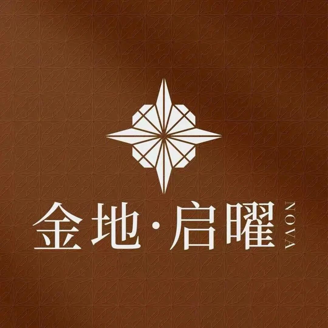 金地启曜_11