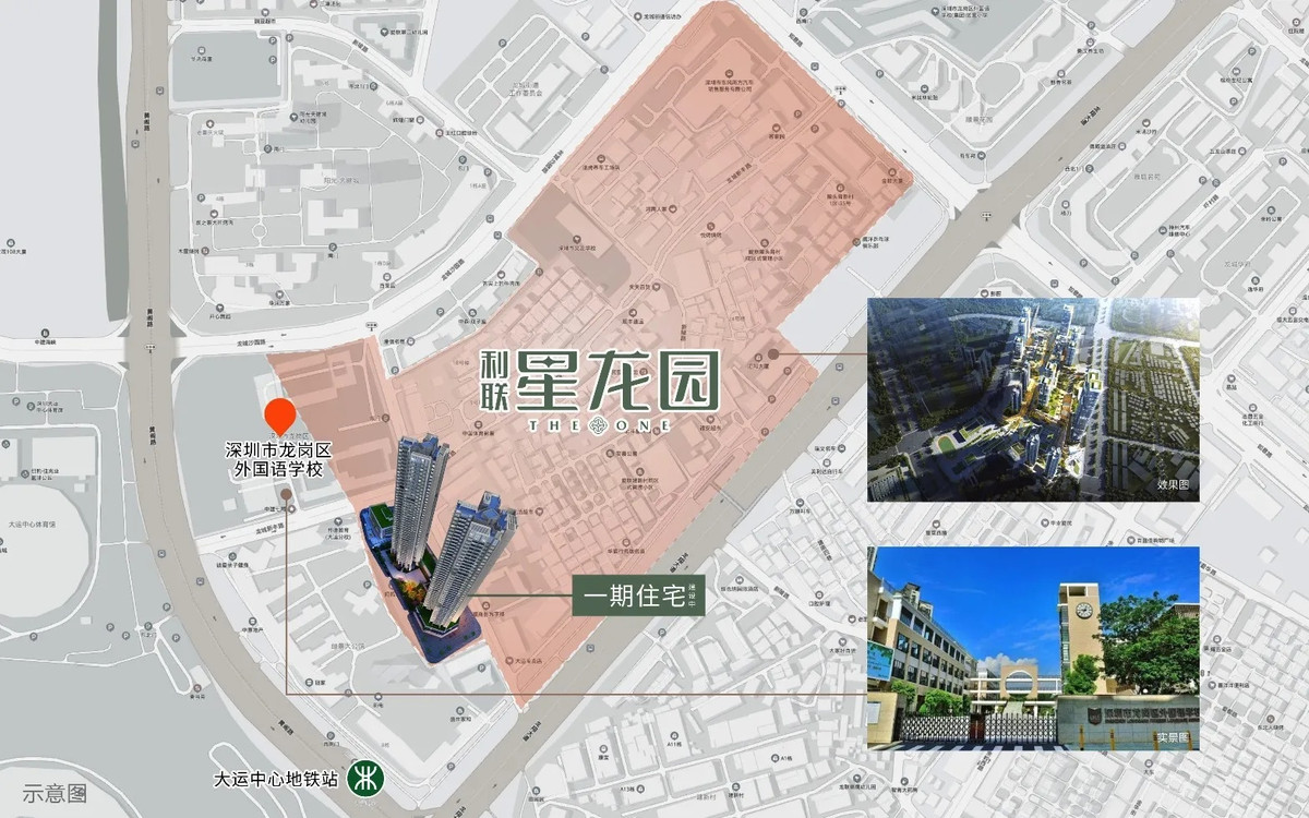 星龙园_学校