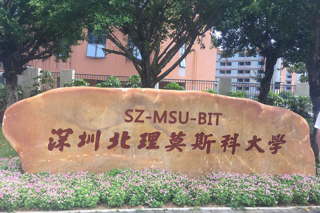 大学