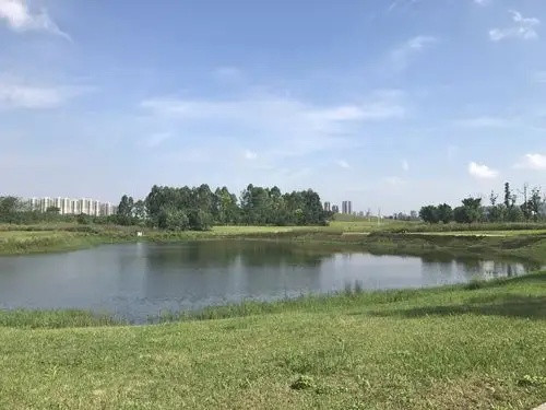铜锣径水库周边生态绿地