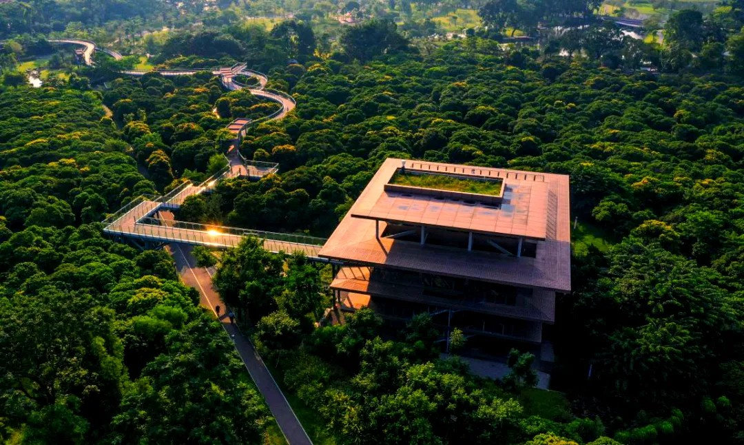 深业中城_1