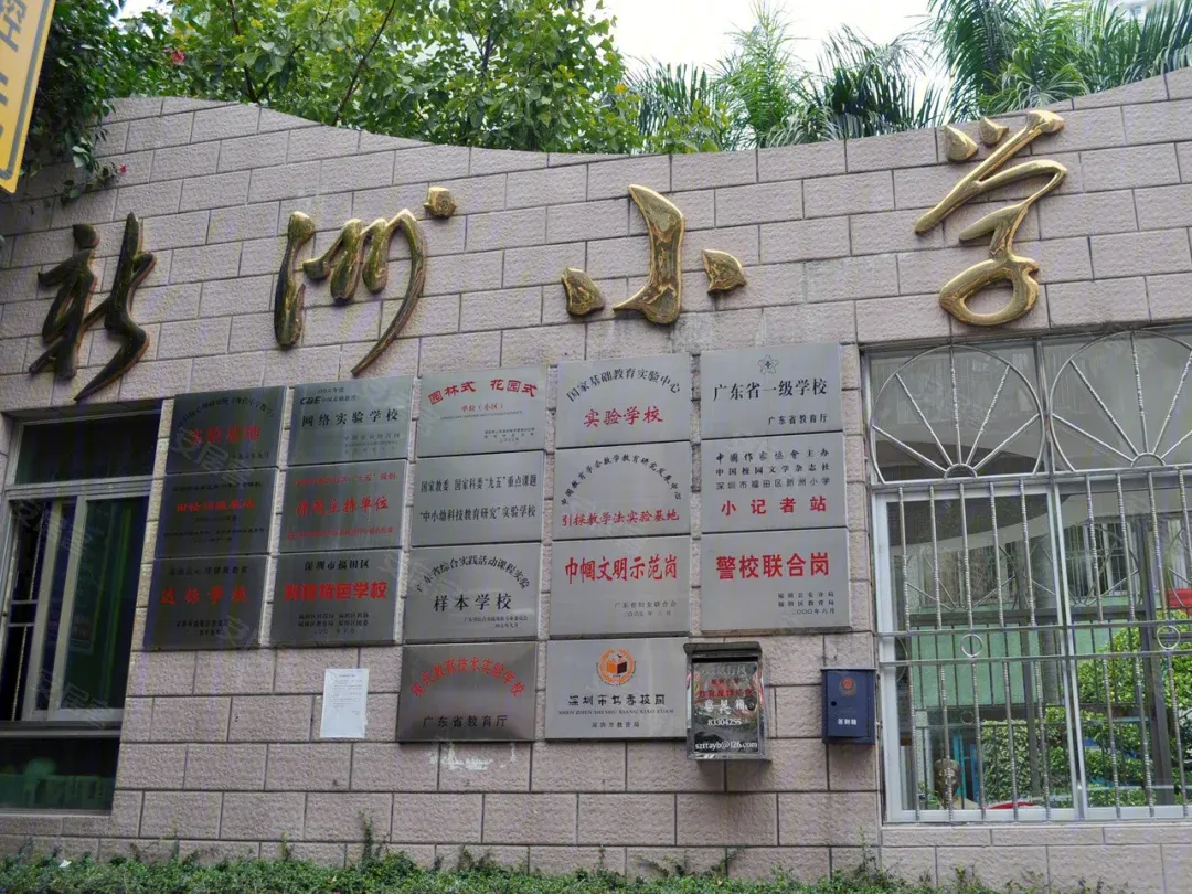 富通九曜公馆售楼处电话4001167278-学校，小学